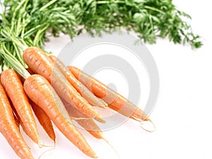 Bunch of crunchy carrots on white background photo