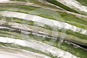 Bunch of cucumber wrapped in plastic films