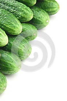 bunch of cucumbers