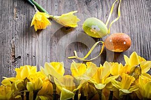 Bunch of daffodils with easter eggs for Easter