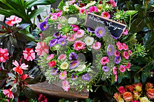 Bunch of daisies in French flower shop