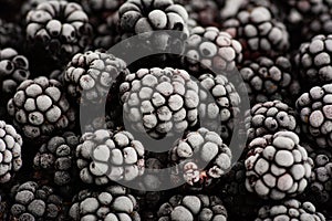 Bunch of frozen blackberries close up