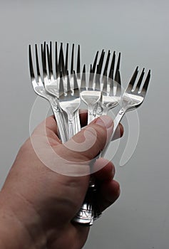 Bunch Of Different Size Silvery Forks In Cook Fist