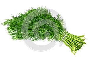 bunch of dill isolated on white background