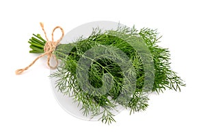 Bunch of dills isolated on white background.