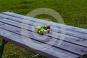 Bunch disfigured and immature fruits on a wooden bench photo