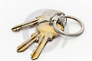 a bunch of door keys on a white background