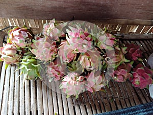 A bunch of dragon fruit green dragonfruits