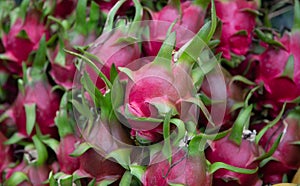 A bunch of Dragon Fruit