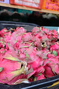 Bunch of dragonfruits