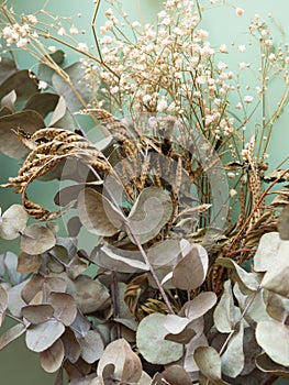 Bunch of dried flowers and eucaliptus branches on green background