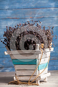 Bunch of dried lavender close-up