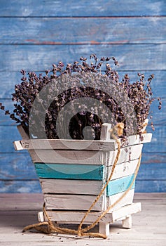 Bunch of dried lavender close-up