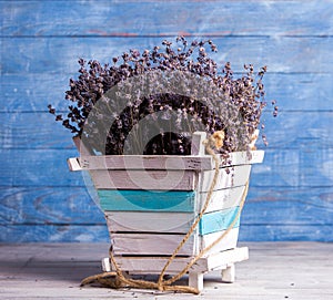 Bunch of dried lavender close-up