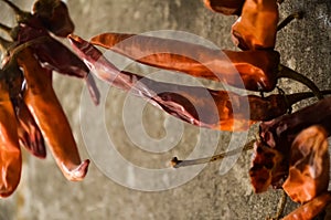 A bunch of dried red hot chili peppers on a gray wall background