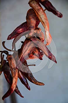 A bunch of dried red hot chili peppers on a gray wall background