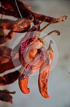 A bunch of dried red hot chili peppers on a gray wall background