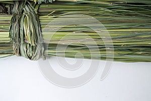 A bunch of dry green lemongrass on a white background.