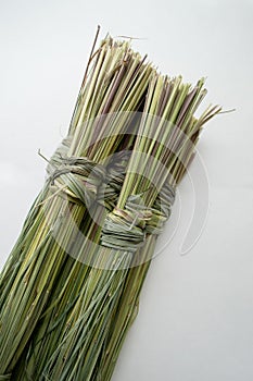 A bunch of dry green lemongrass on a white background.