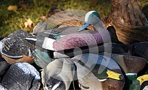 Bunch of Duck Decoys photo