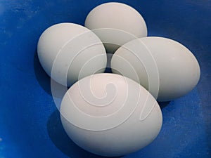 A bunch of duck eggs in a bowl photo