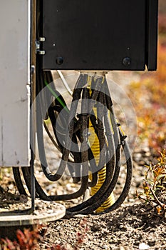 Bunch of electrical cables entering a junction box..