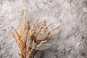 A bunch of field grass on the background of concrete