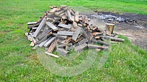 Bunch of firewood on green grass