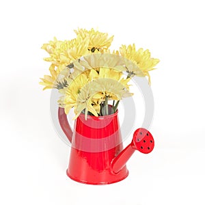 Bunch of flowers in the watering pot isolated on white