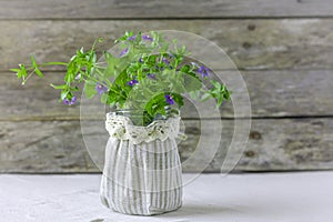 Bunch of forget-me-nots on wooden background. Greeting card for Valentine`s day, February 14, Mother`s Day, 8 March