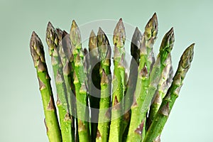 Bunch of fresh asparagus