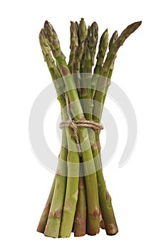 Bunch of fresh asparagus isolated
