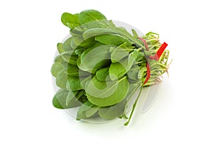Bunch of fresh baby spinach