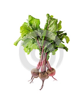 Bunch of fresh beets with leaves on white