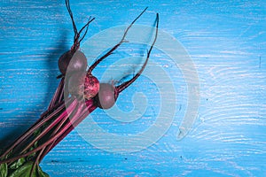 A bunch of fresh beets on old blue wooden table. Copy space. Healthy food. Raw Vegetables