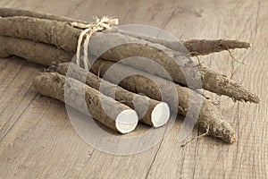 Bunch of fresh burdock taproots