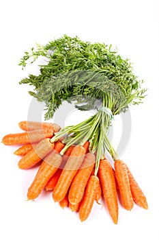 Bunch of fresh carrots