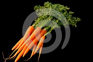 Bunch of Fresh Carrots photo