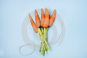 Bunch of Fresh Carrots with Green leaves on Blue Background Vegetable Mimimal Top View