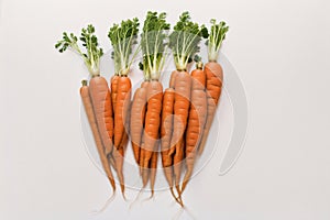 Bunch of fresh carrots with green leaves. Vegetarian food. Vegetarianism and healthy eating. healthy food concept. Generative AI