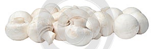 A bunch of fresh champignons on a white isolated background