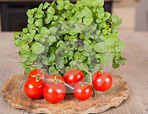 Bunch of fresh cherry tomato with bunch of mint