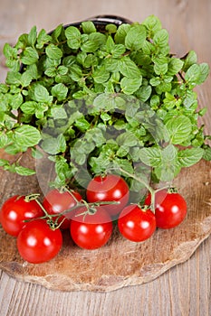 Bunch of fresh cherry tomato with bunch of mint