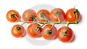 A bunch of fresh cherry tomatoes on a branch. White isolated background. Top view.
