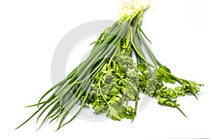 Bunch of fresh cilantro and Spring onions