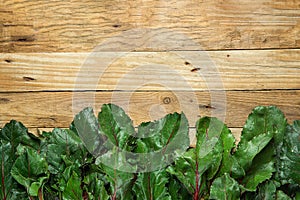 Bunch of Fresh Crispy Green Beet Leaves Arranged as Bottom Border on Aged Plank Wood Background. Healthy Vegan Diet Vitamins