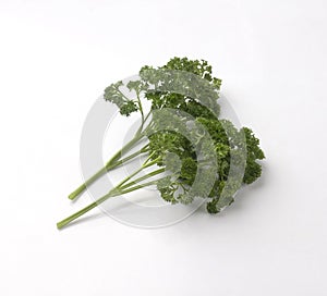 Bunch of fresh curly parsley isolated on white