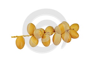 A bunch of fresh Date Palm (Phoenix dactylifera) isolated on white background