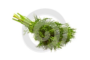 Bunch of fresh dill