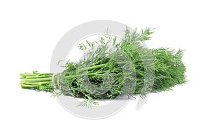 Bunch fresh dill herb close up.